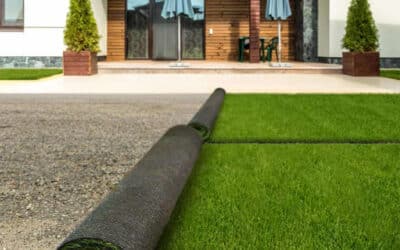 Where Can I Buy Artificial Grass?