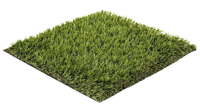 EvoScape-sample-image