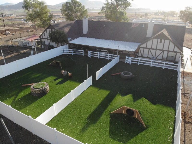 Biltright-Turf-Pet-Artificial-Grass-00002